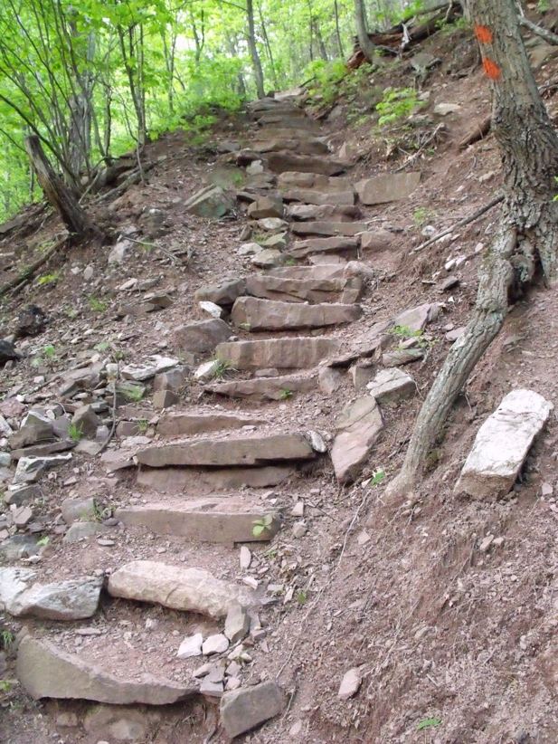 trail steps